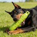 Indestructible Stick Chew Toy