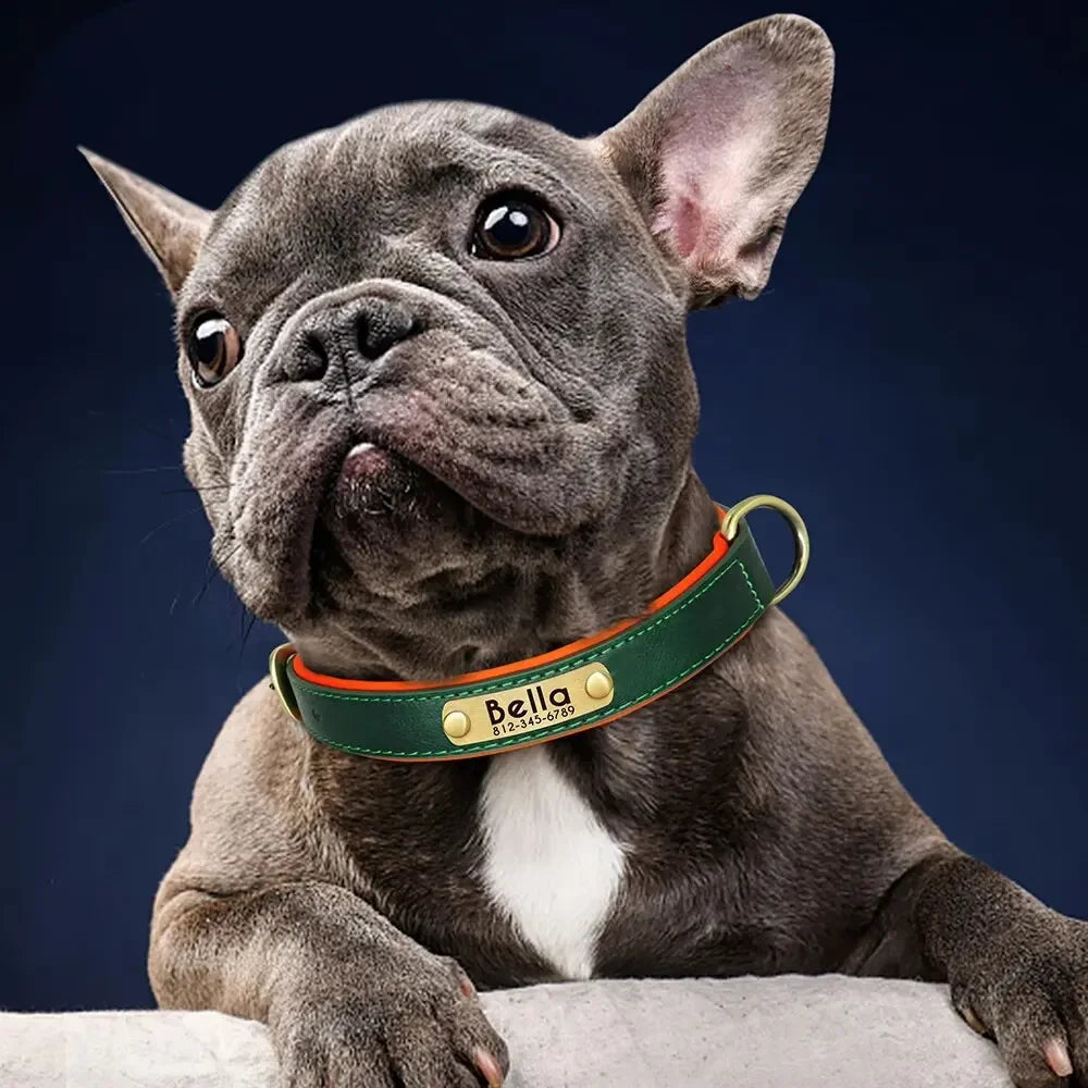 Personalized Customized Leather ID Collar