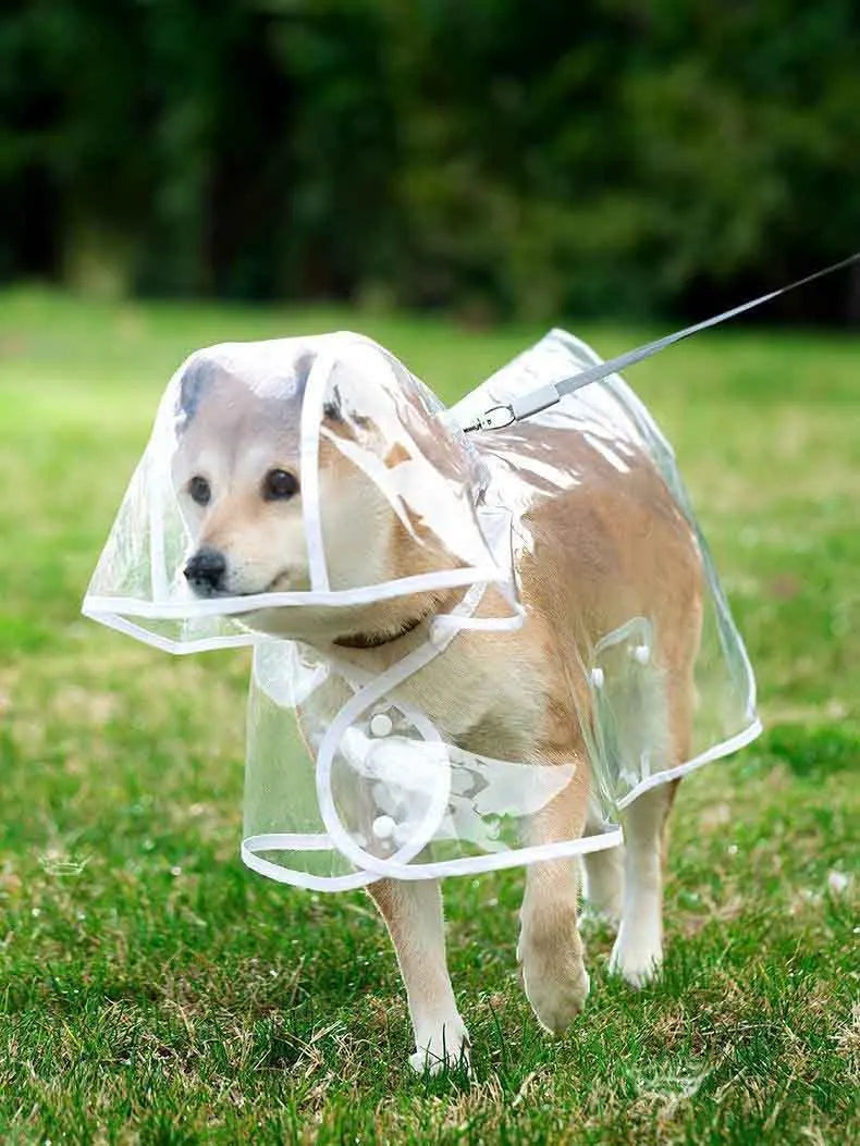 Transparent Raincoat With Hat