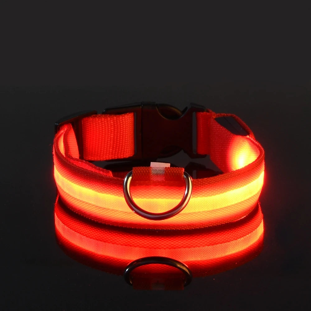 Glow In The Dark Pet  Collar