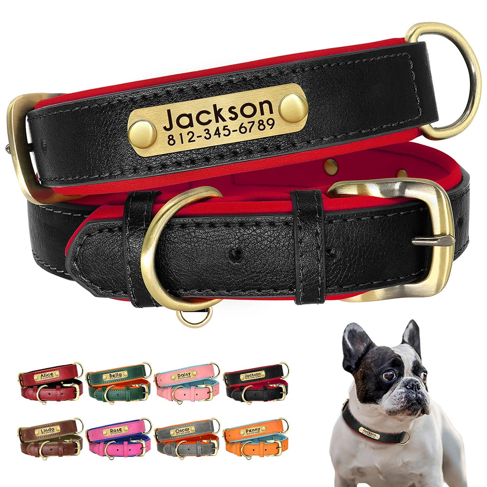 Personalized Leather Dog Collar