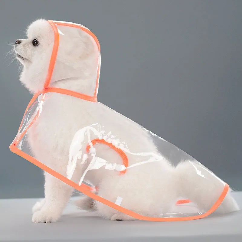 Transparent Raincoat With Hat