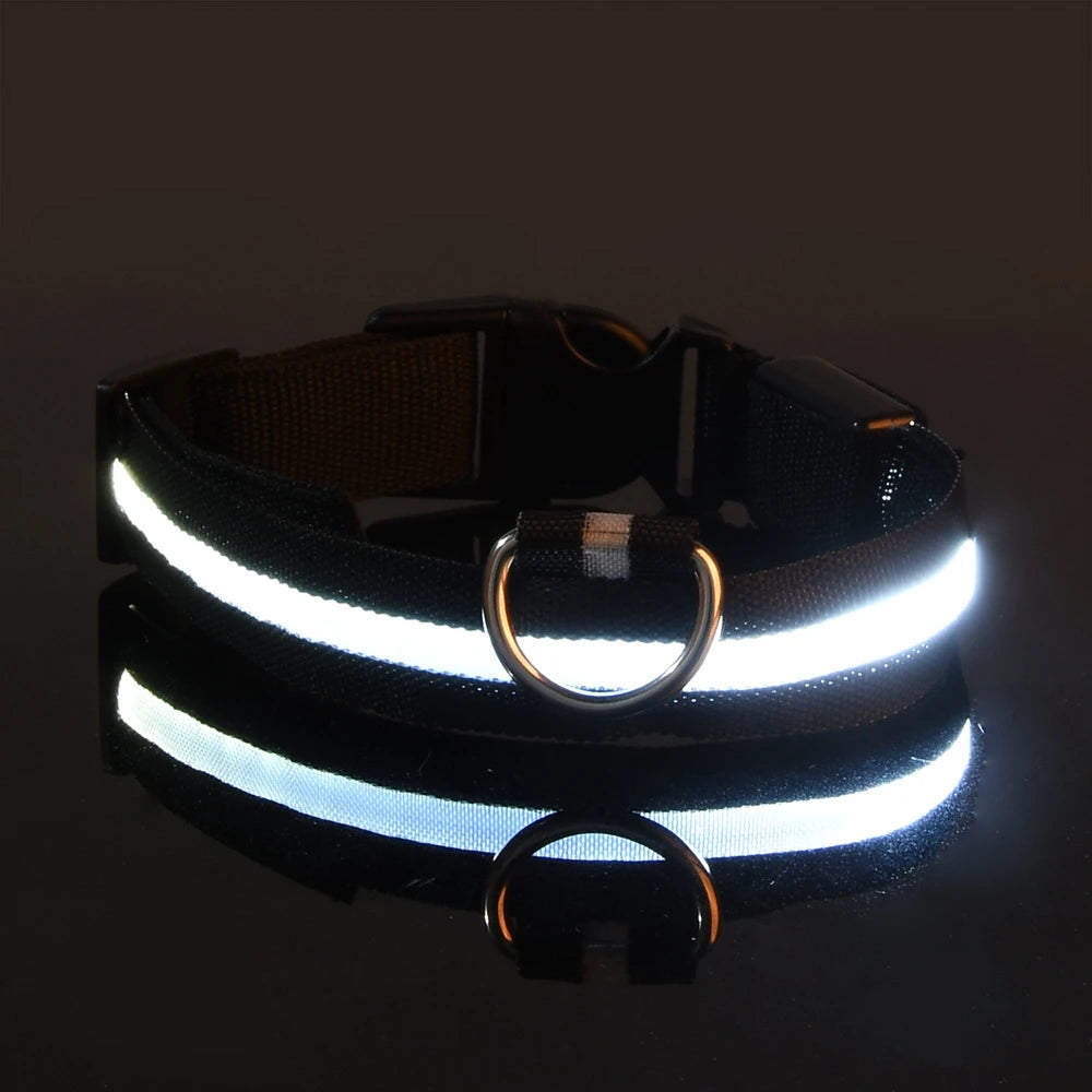 Glow In The Dark Pet  Collar