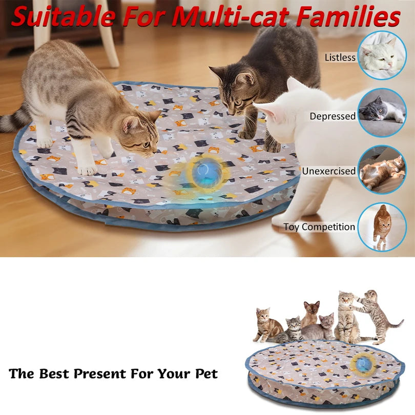 Pouch Hide and Seek Kitten Toy
