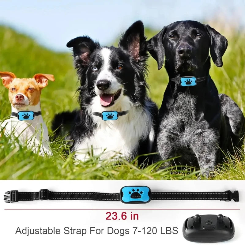 USB Rechargeable Dogs Training Collar And Anti Barking Device