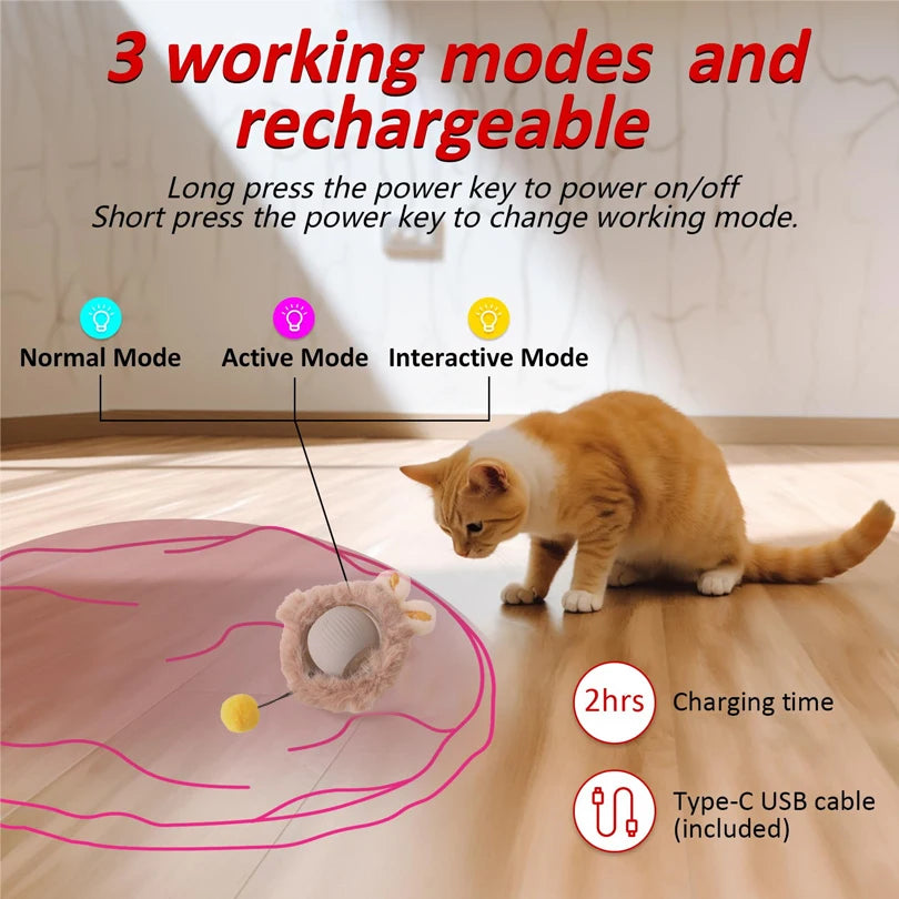 Pouch Hide and Seek Kitten Toy