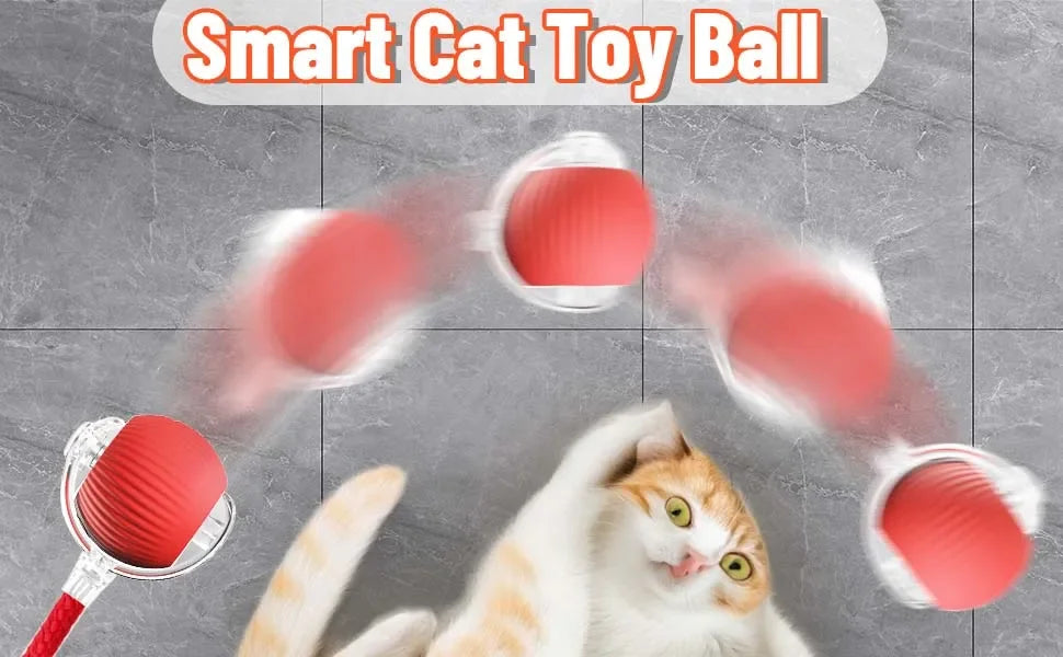 Interactive Ball Toy
