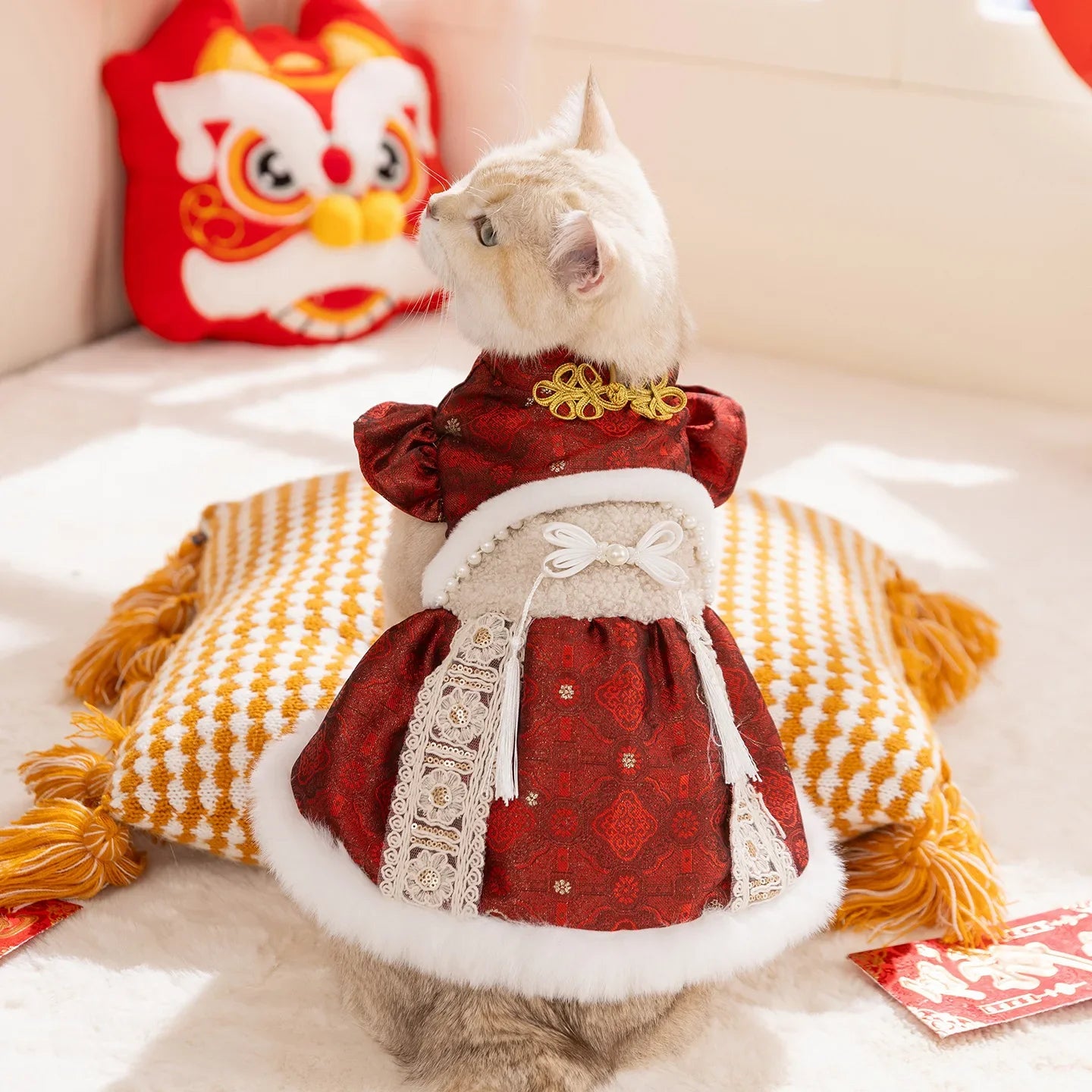 Cat Costume