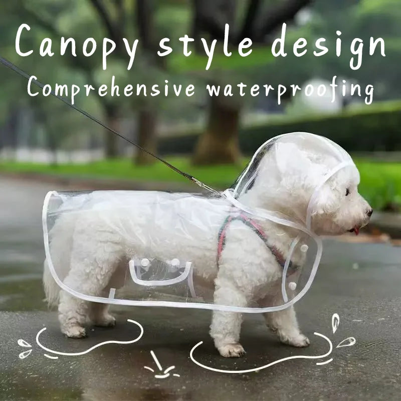 Transparent Raincoat With Hat