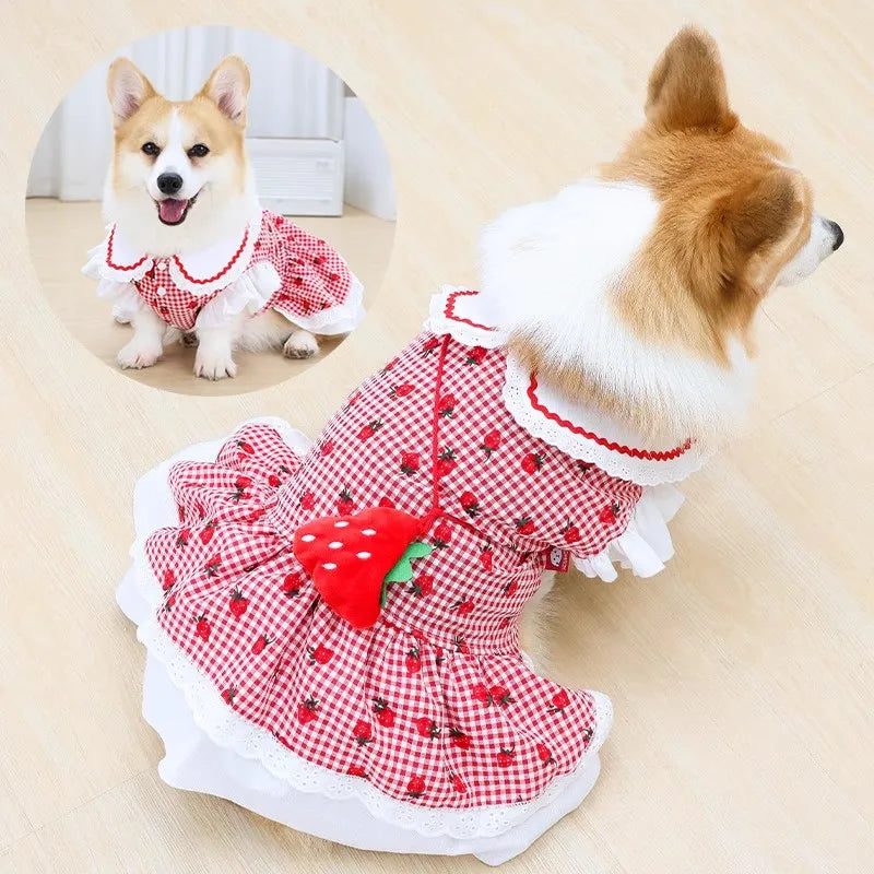 Strawberry Summer Dress For Dogs