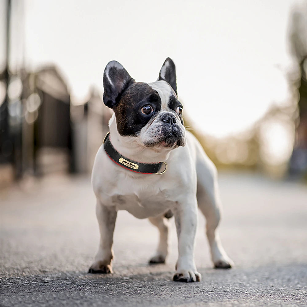 Personalized Leather Dog Collar