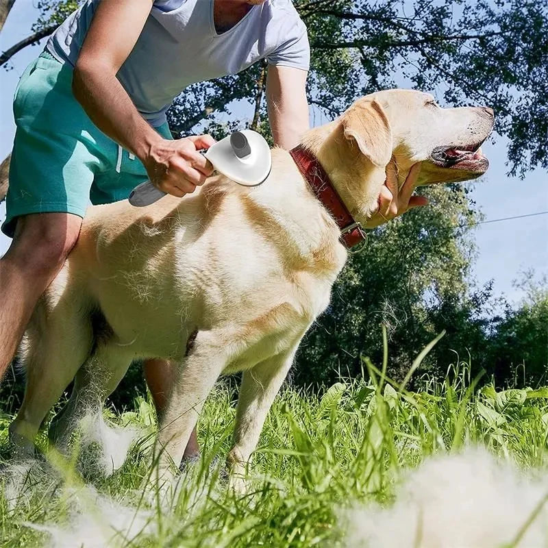Self Cleaning Pet Hair Remover Brush
