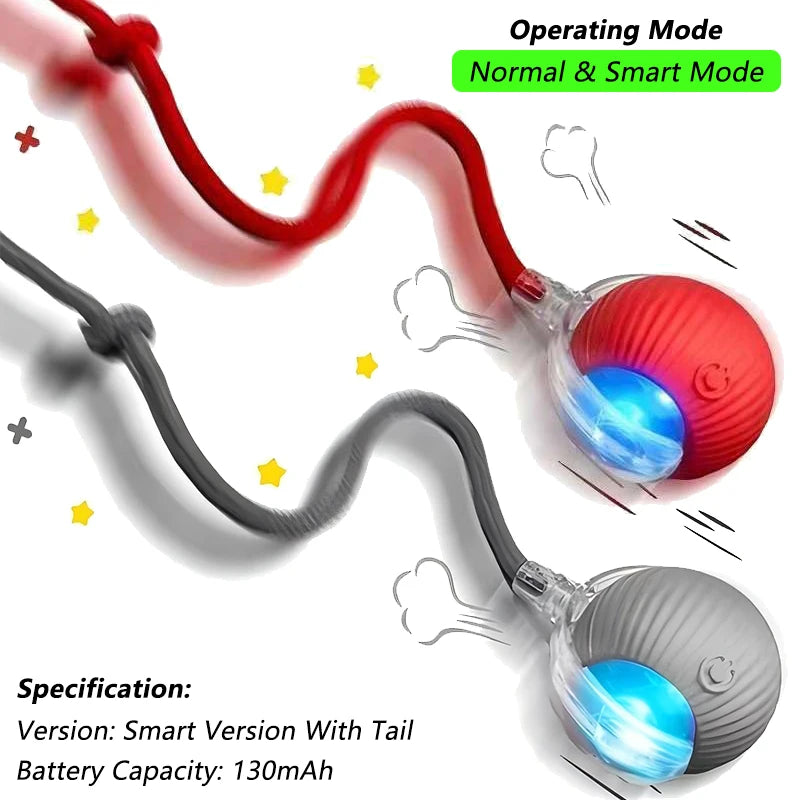 Interactive Ball Toy