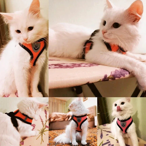 Adjustable Cat Harness Vest With Leash