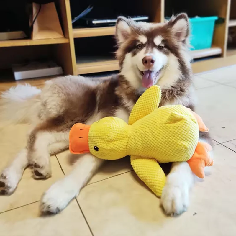 Dog duck plush toy