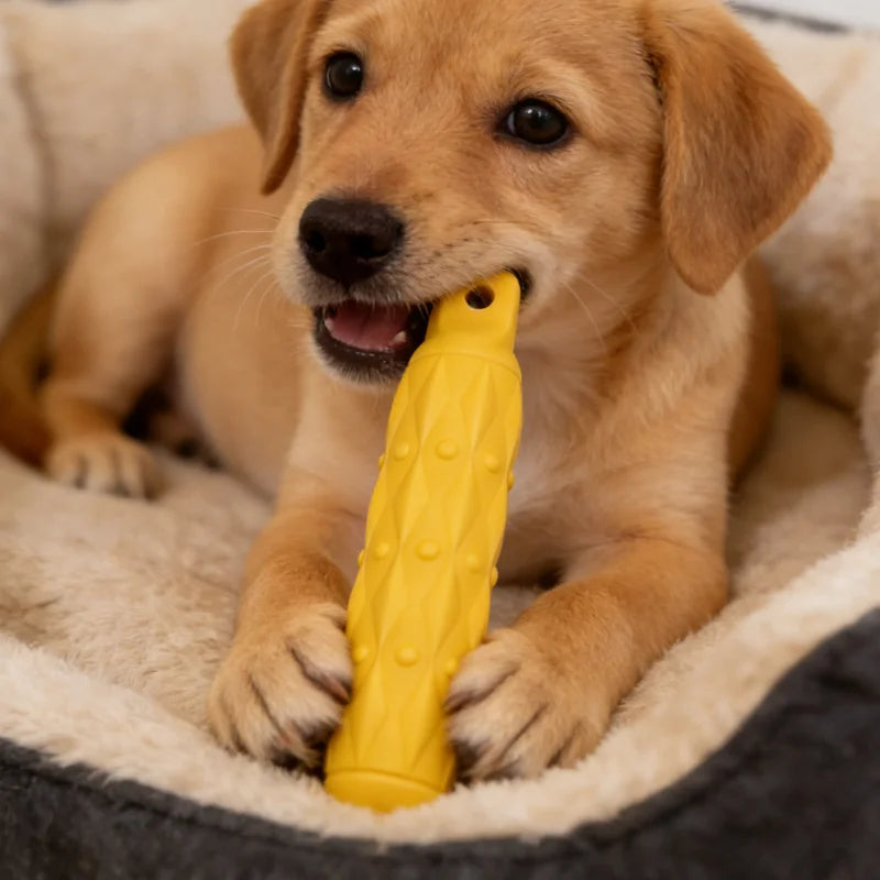 Indestructible Stick Chew Toy