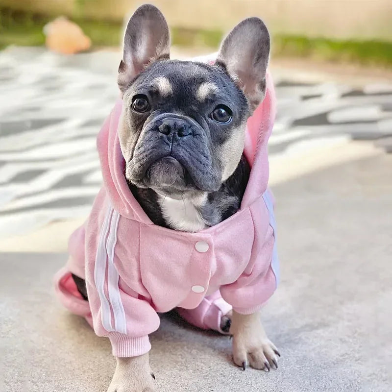 Pet Jumpsuit