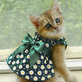 Pet Sleeveless Dress