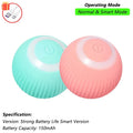 Interactive Ball Toy