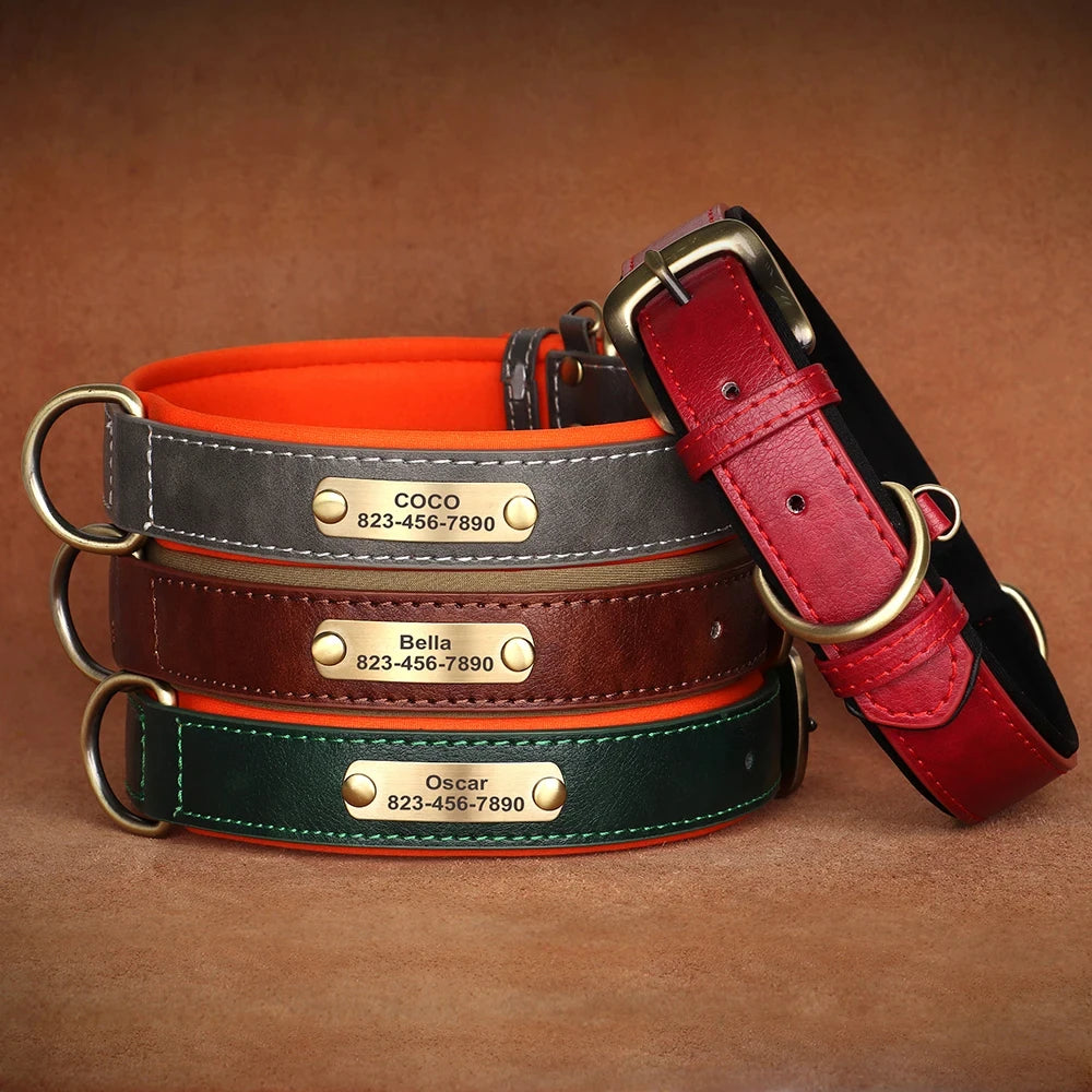 Personalized Customized Leather ID Collar