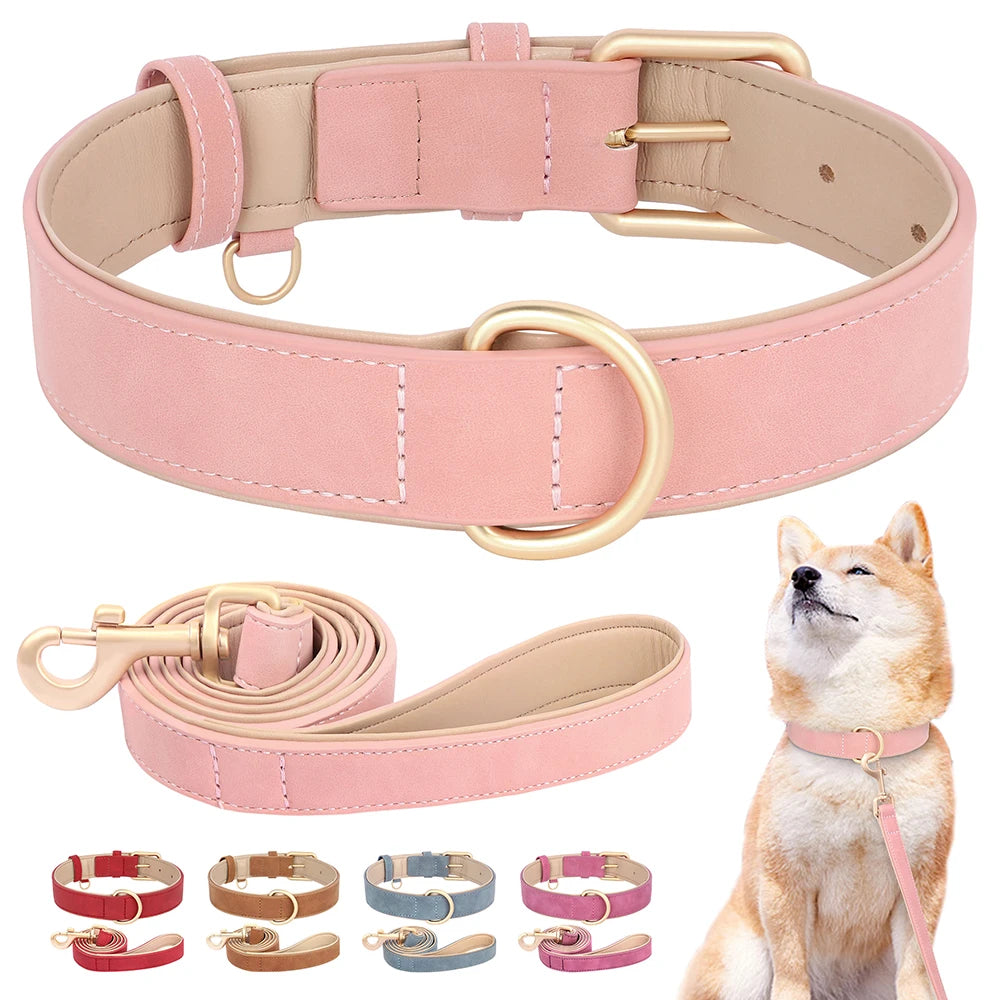 Dog Collar And Leash Set