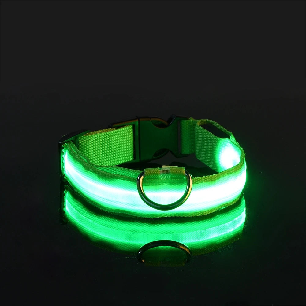 Glow In The Dark Pet  Collar