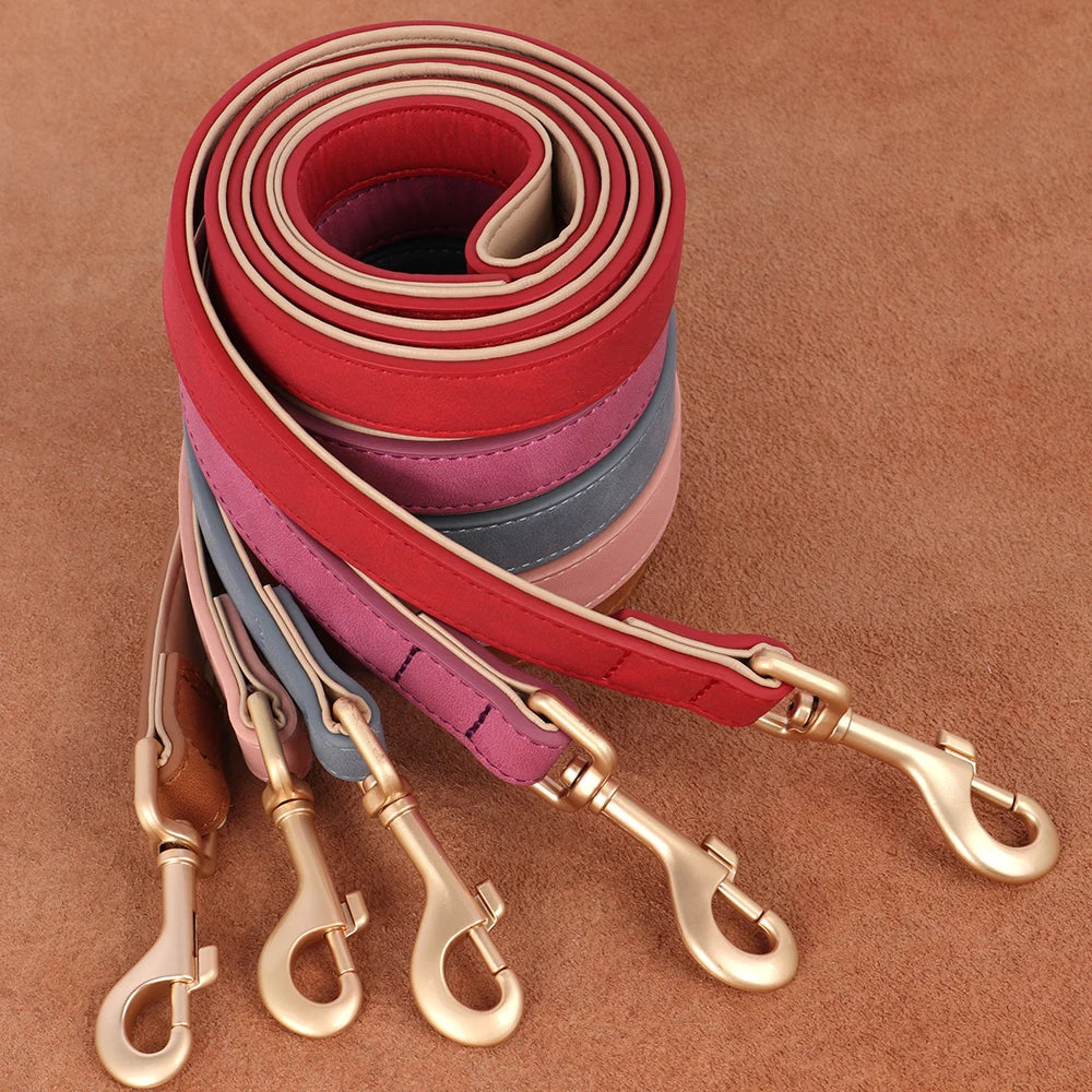 Dog Collar And Leash Set