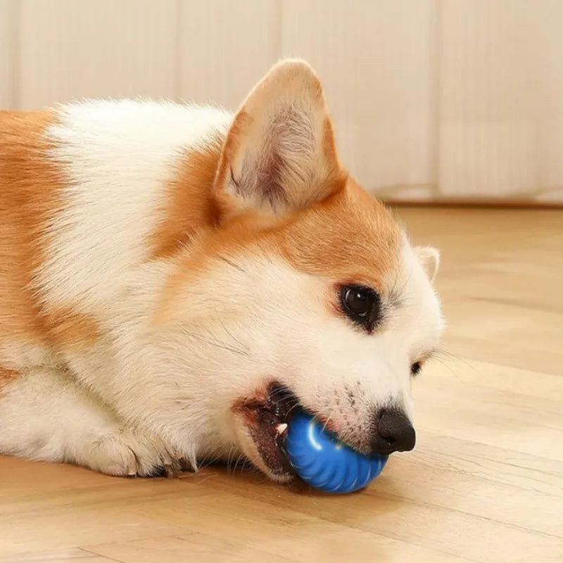 Automatic Moving Ball Dog Toy