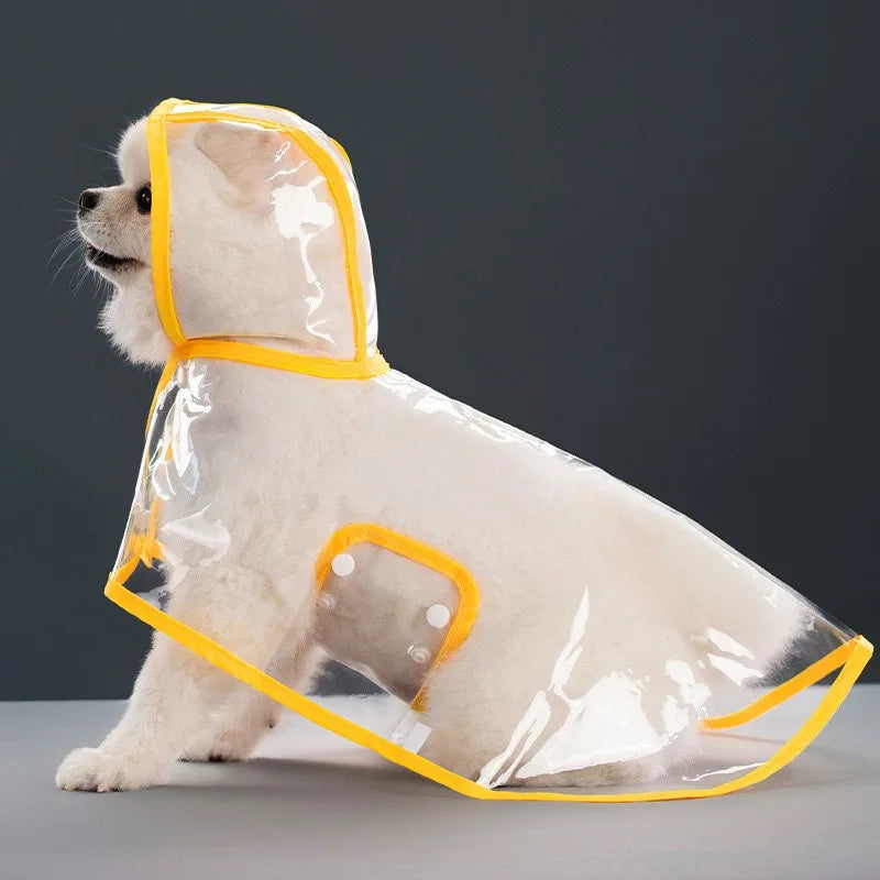 Transparent Raincoat With Hat