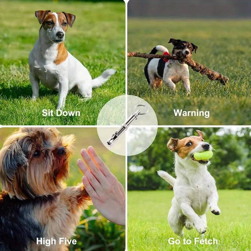 Dog Whistle To Stop Barking