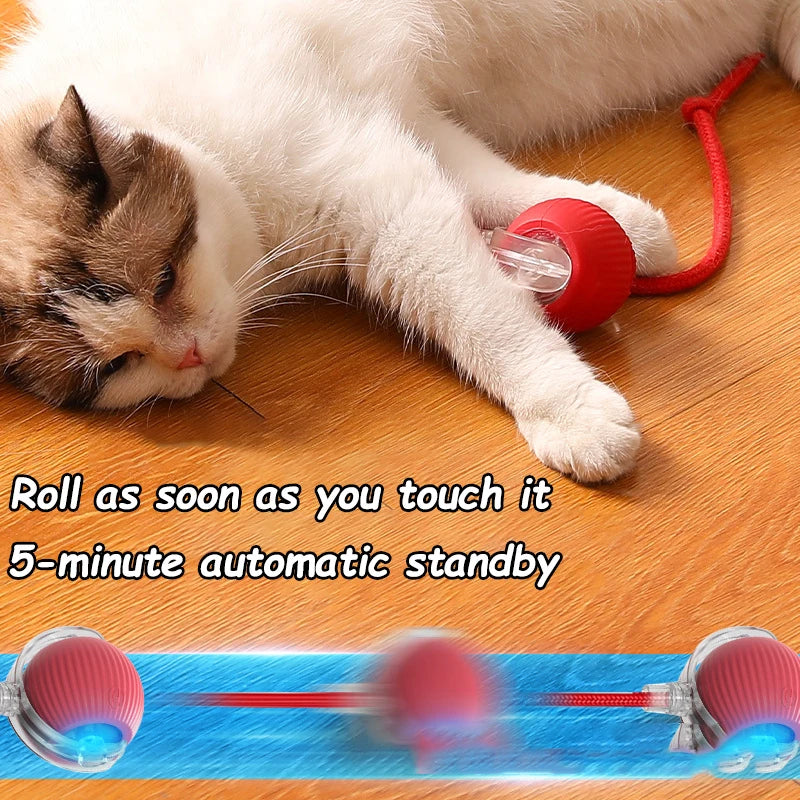 2Pcs Automatic & Rechargeable Cat Toy