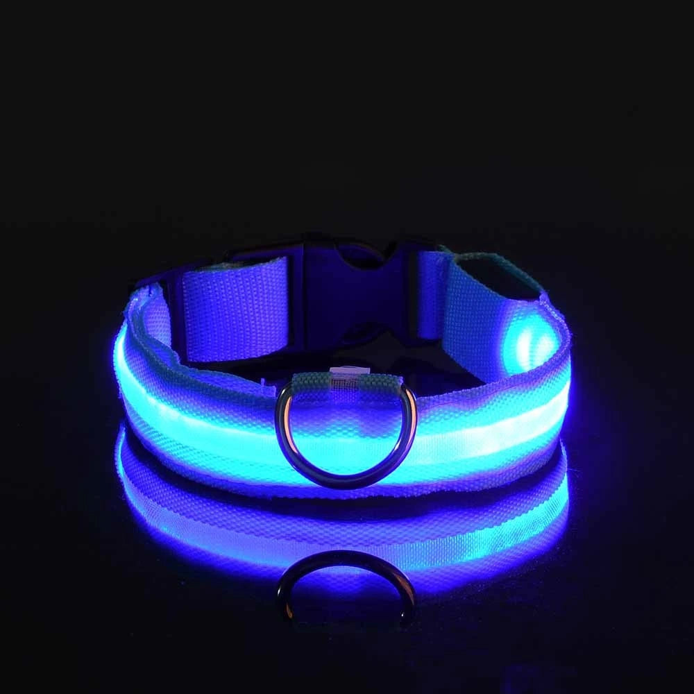 Glow In The Dark Pet  Collar