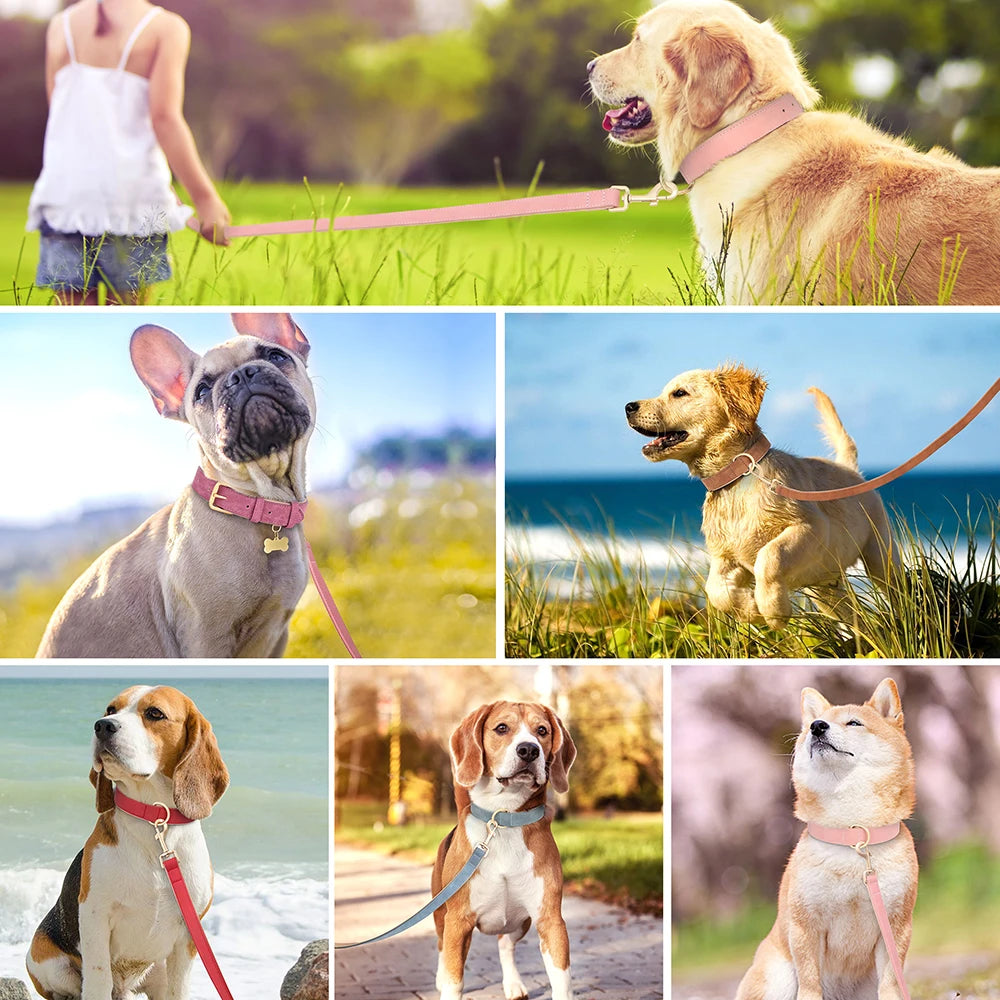 Dog Collar And Leash Set