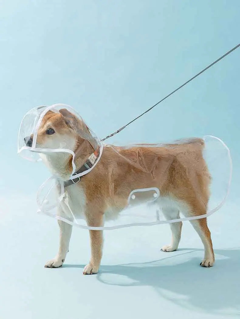 Transparent Raincoat With Hat