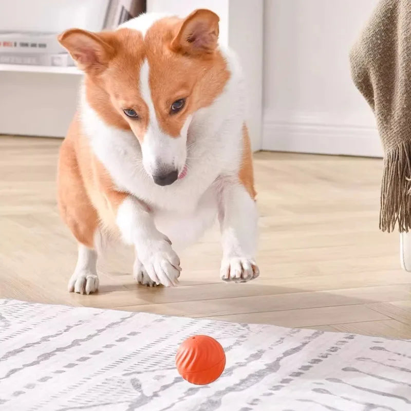Automatic Moving Ball Dog Toy