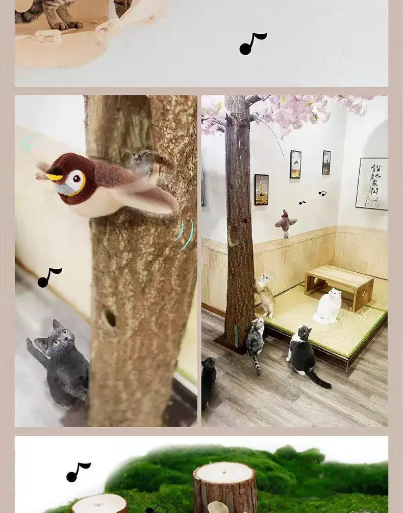 Interactive Rechargable Cat Toy