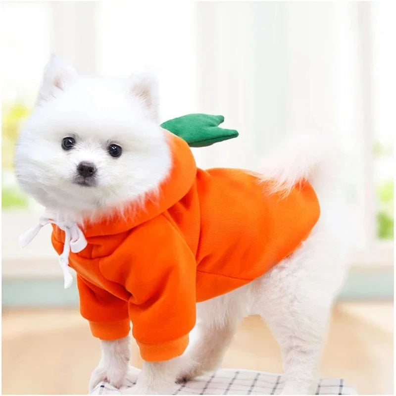 Cute Dog & Cat Costumes
