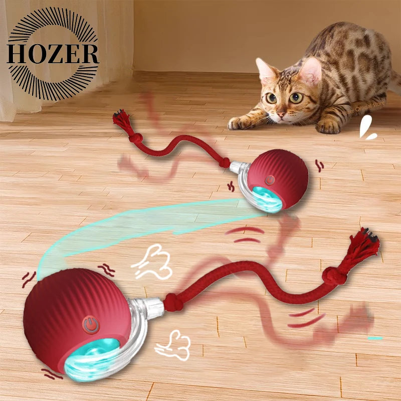 2Pcs Automatic & Rechargeable Cat Toy