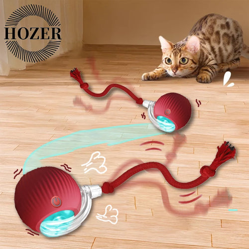 2Pcs Automatic & Rechargeable Cat Toy