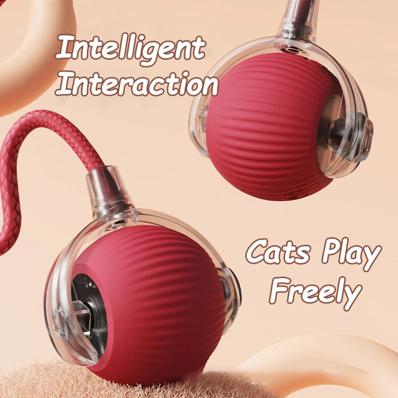 2Pcs Automatic & Rechargeable Cat Toy