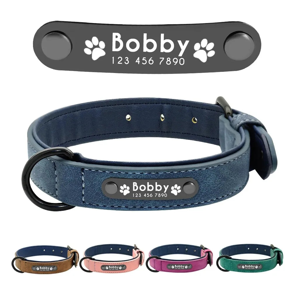 Custom Personalized Dog Collars