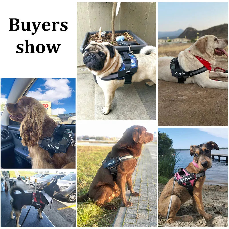 Personalized NO PULL Reflective Pet Harness