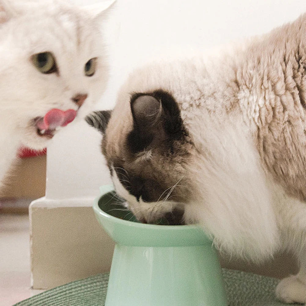 Elevated And Tilted Cat Food Bowl