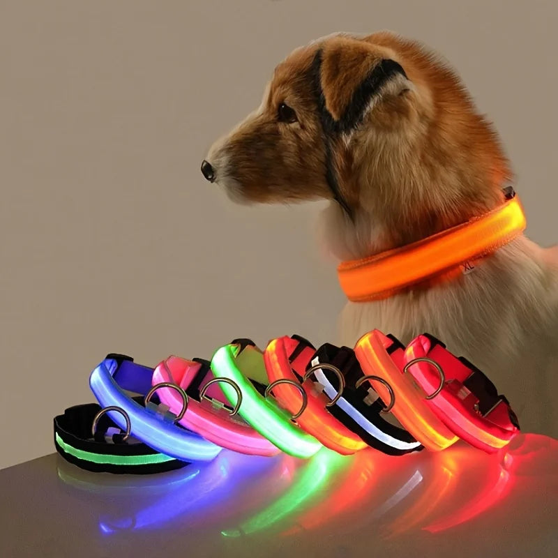 Glow In The Dark Pet  Collar
