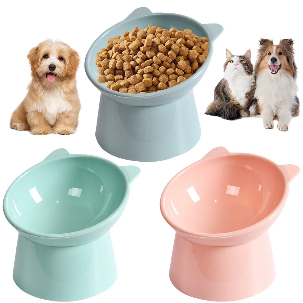 Elevated And Tilted Cat Food Bowl