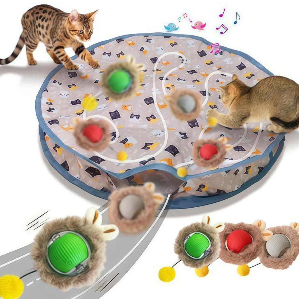 Pouch Hide and Seek Kitten Toy