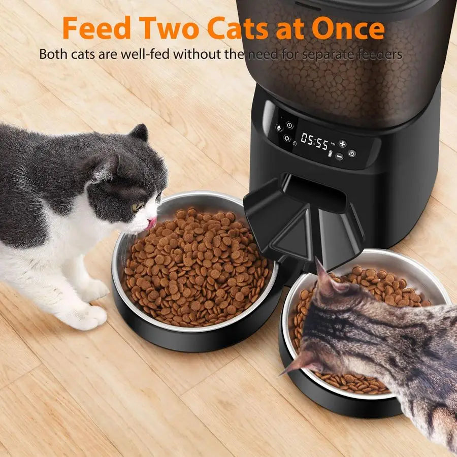 Cat Feeder For Two Cats