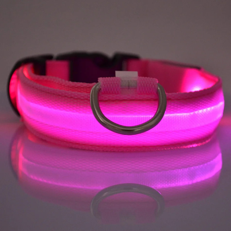 Glow In The Dark Pet  Collar