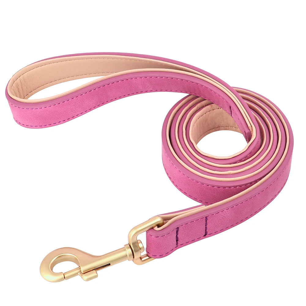 Dog Collar And Leash Set