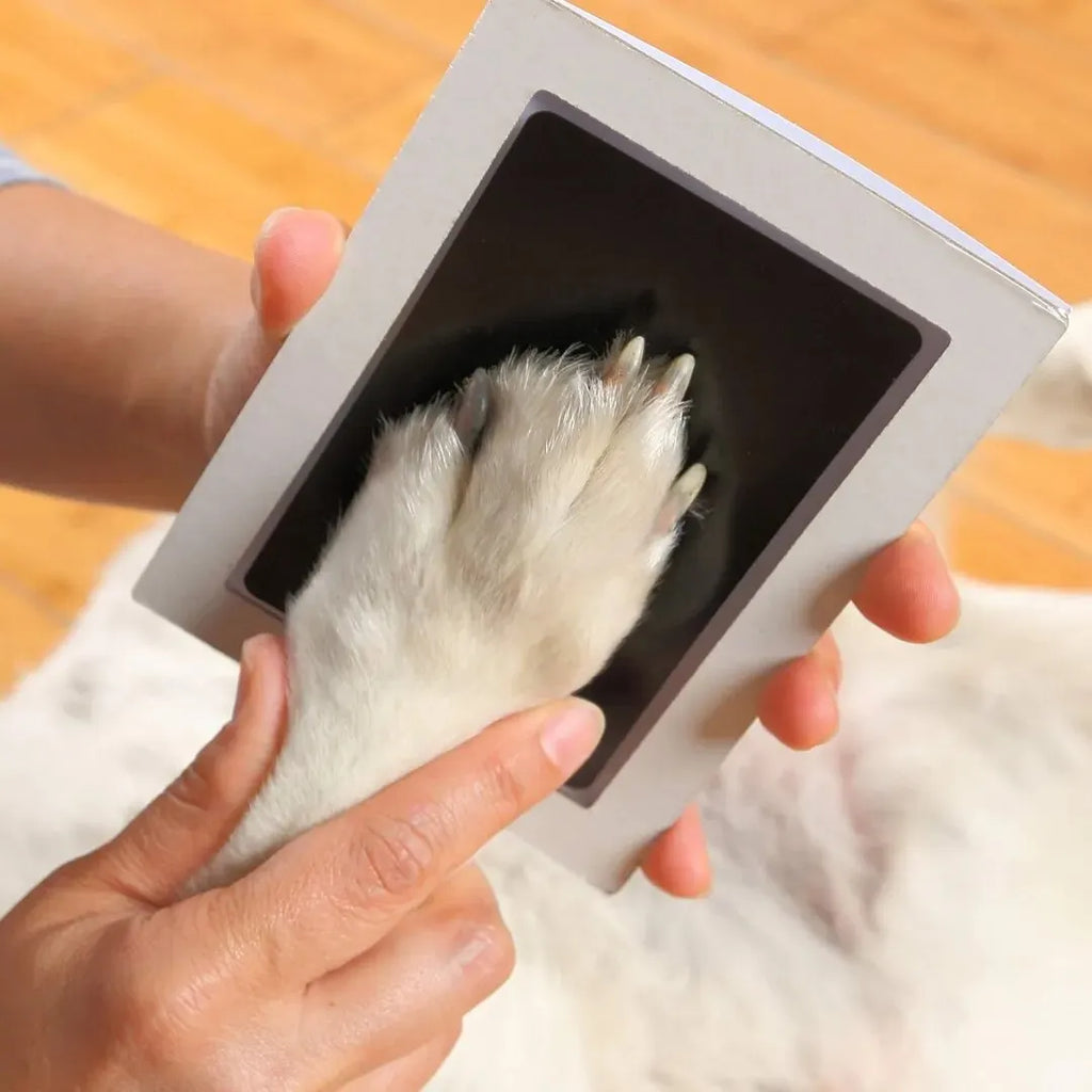 Pawprint Impression Making Kit